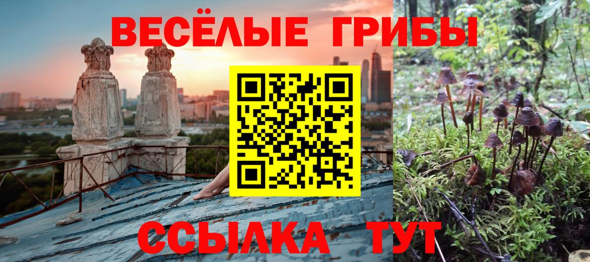 Галлюциногенные грибы Psilocybe  Галлюциногенные грибы Magic Shrooms  Вход с VPN  Ржев 